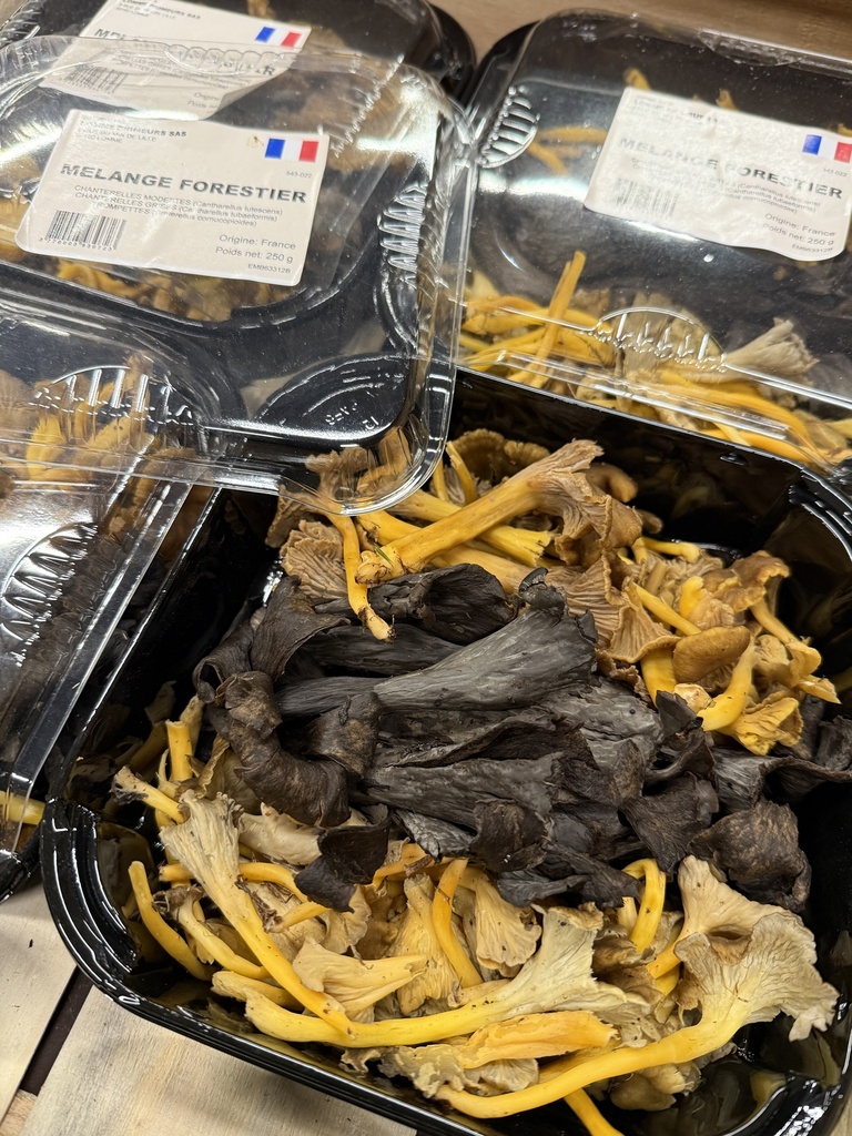 Champignon Mélange forestier