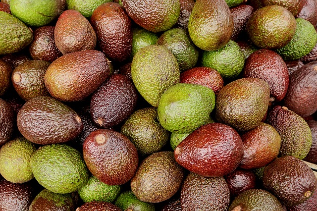 Avocat "Hass"