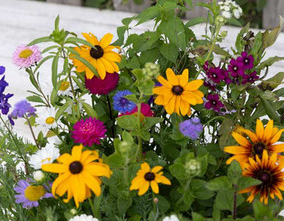Mix fleurs Bouquet d'été