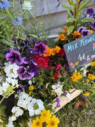 [Caissefleursdime] Caisse de fleurs en mélange