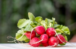 [Radisrougegrossiste] Radis rouge