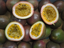 [Fruitdelapassiongrossiste] Fruit de la passion