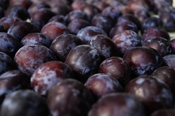 [Prunegrossiste] Prune rouge