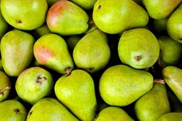 [Poiregrossiste] Poire Guyot