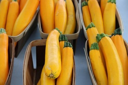 [Courgettejaunedime] Courgette jaune