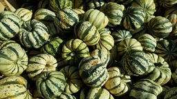 [Courgepatidoudime] Courge Sweet Dumpling Patidou