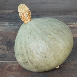 [Courgebleuedime] Courge Blue Ballet