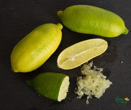 [Citroncaviargrossiste] Citron caviar