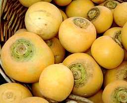 [Navetjaunegrossiste] Navet jaune