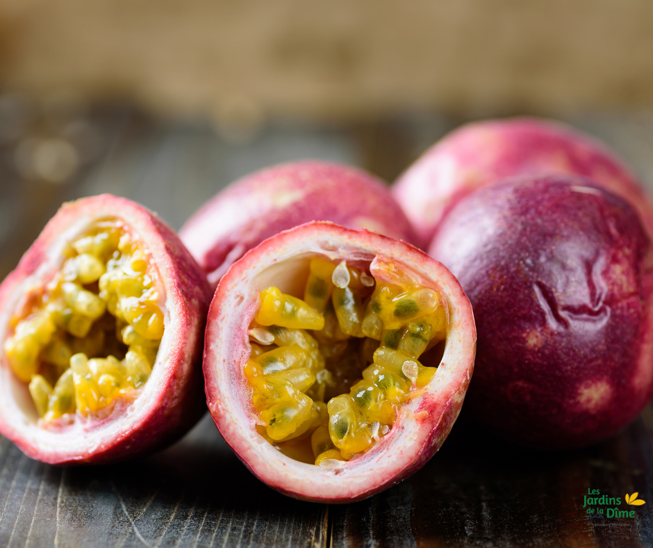 Fruit de la passion