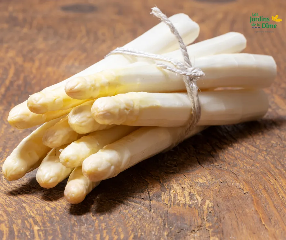 Asperge blanche - 500g