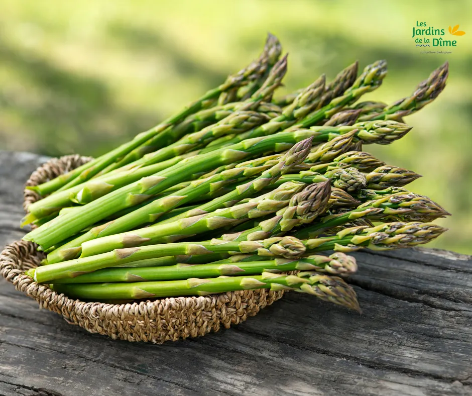 Asperge verte - 500g