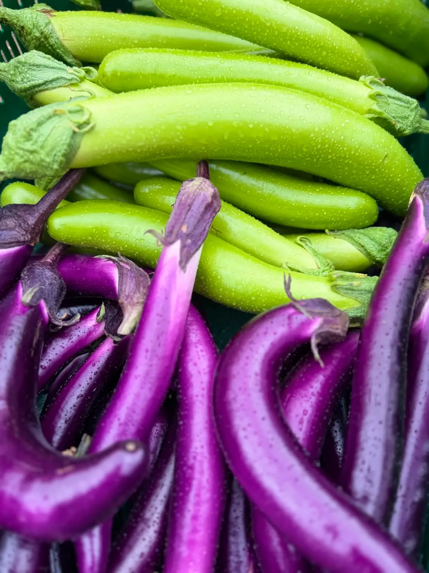 Aubergine japonaise - 250g