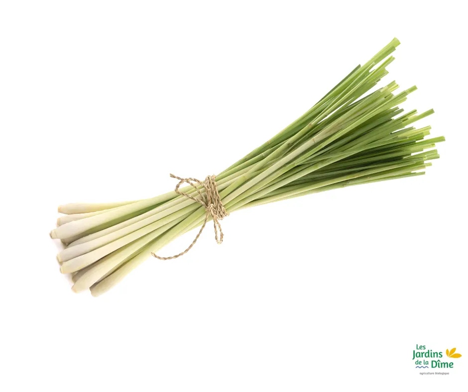 Citronnelle d'Inde - 50g