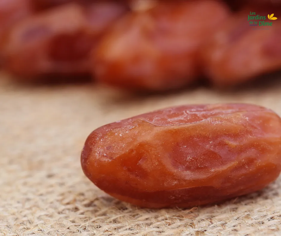Datte dénoyautée - 100g