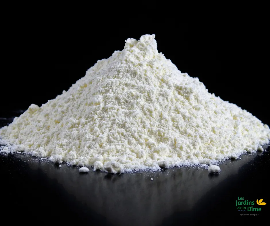 Farine de froment complète - 3Kg