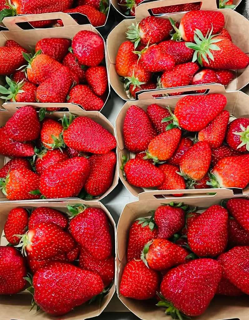 Fraise "Cléry" - 250g