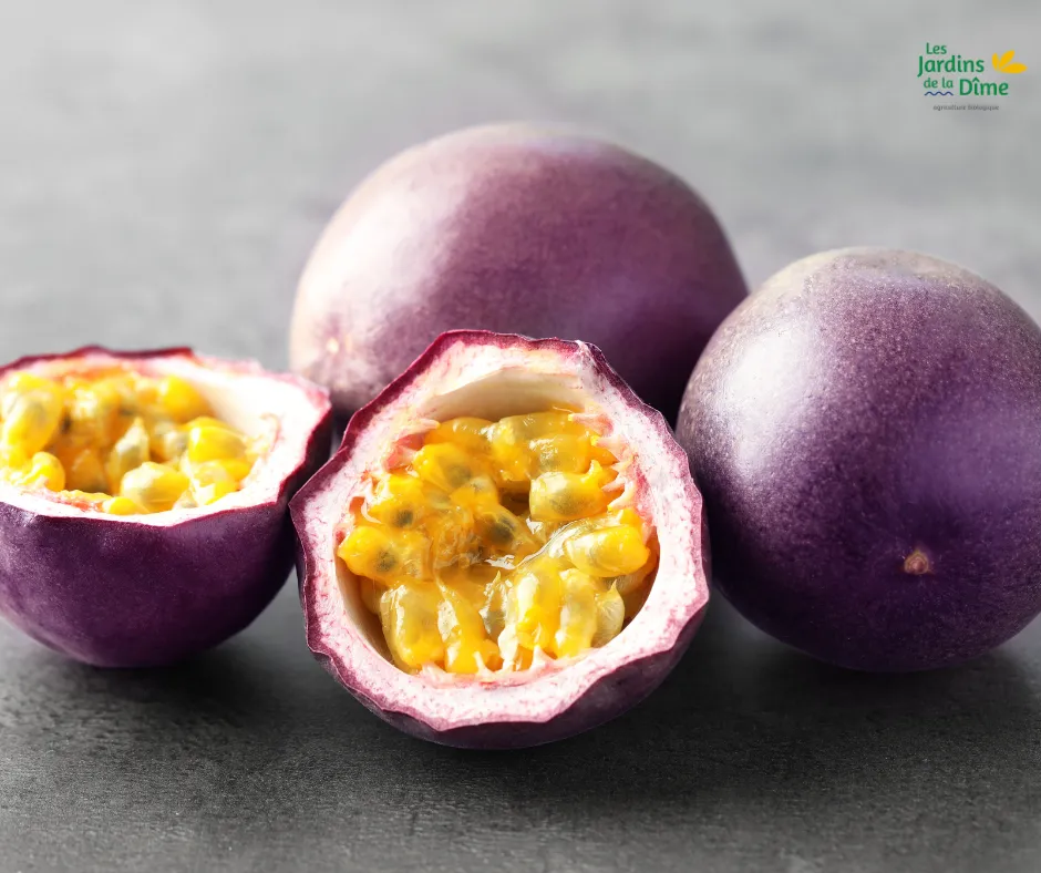 Fruit de la passion - Pièce