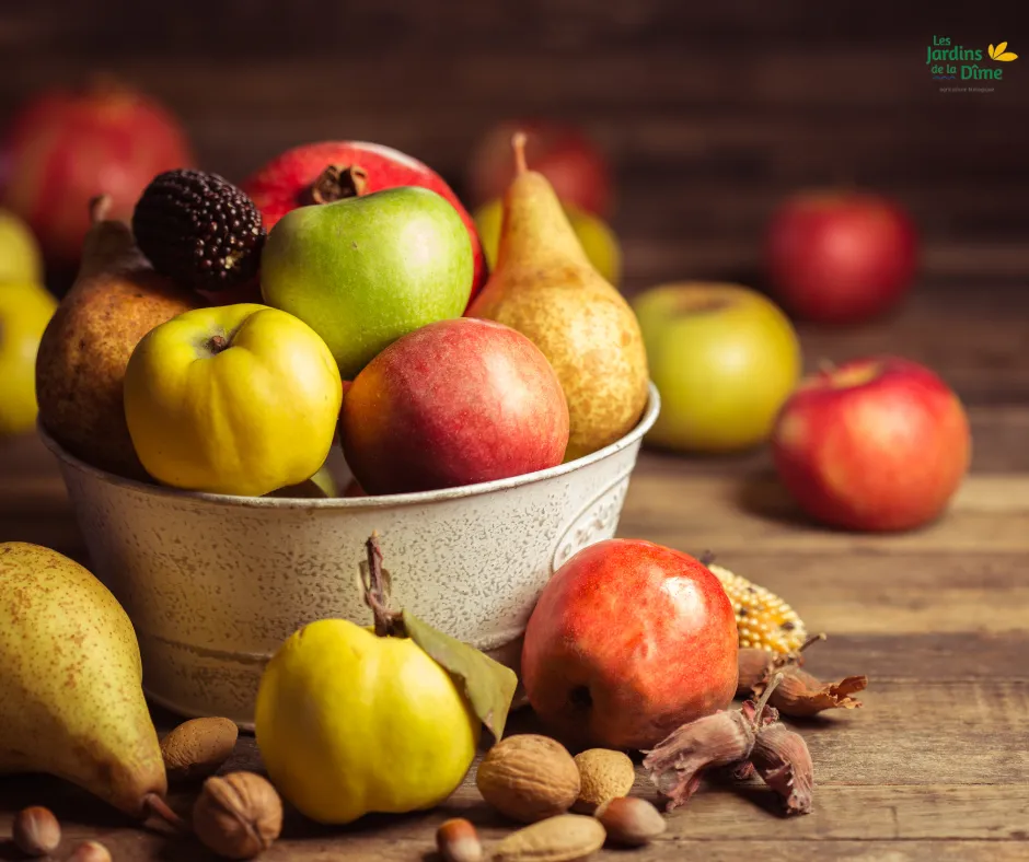 Le "Fruity Dîme"