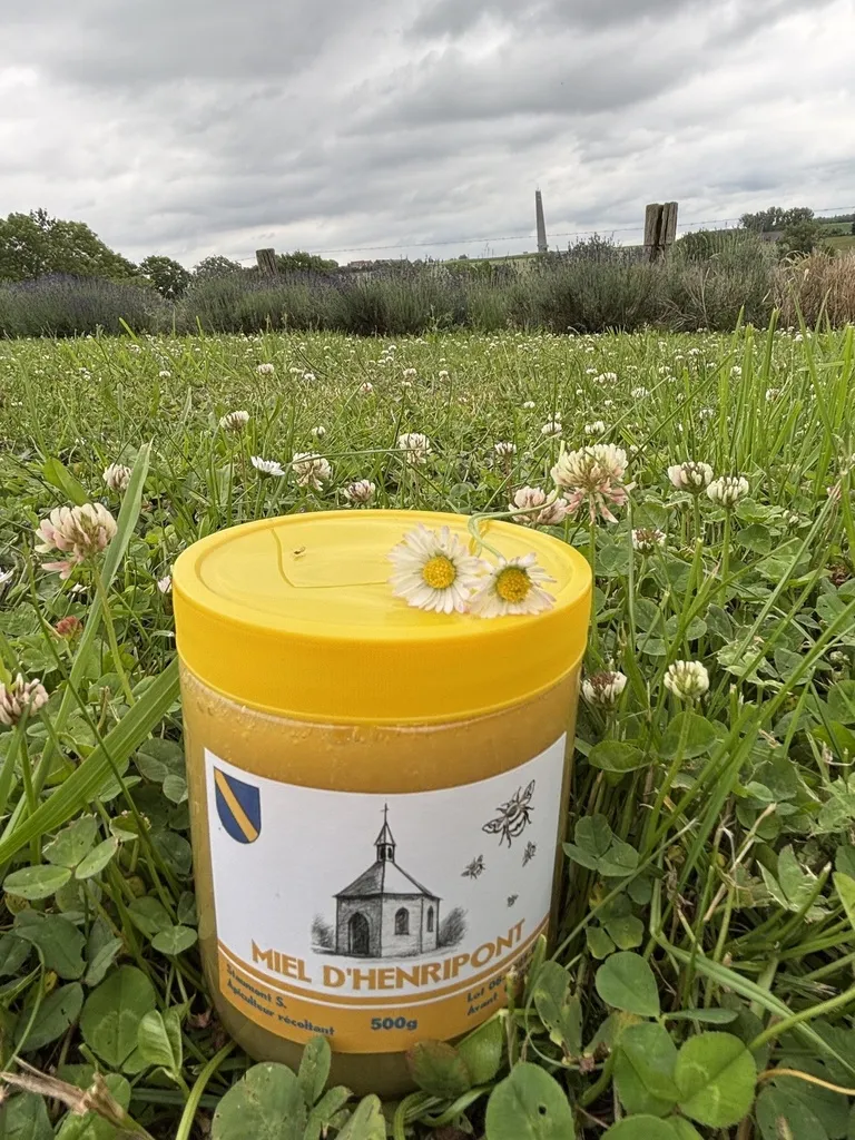 Miel de printemps - 500g