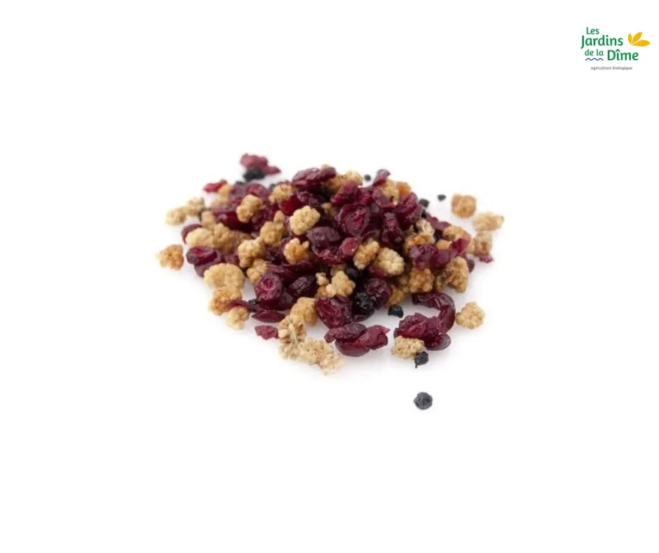 Mélange de fruits Santé - 100g