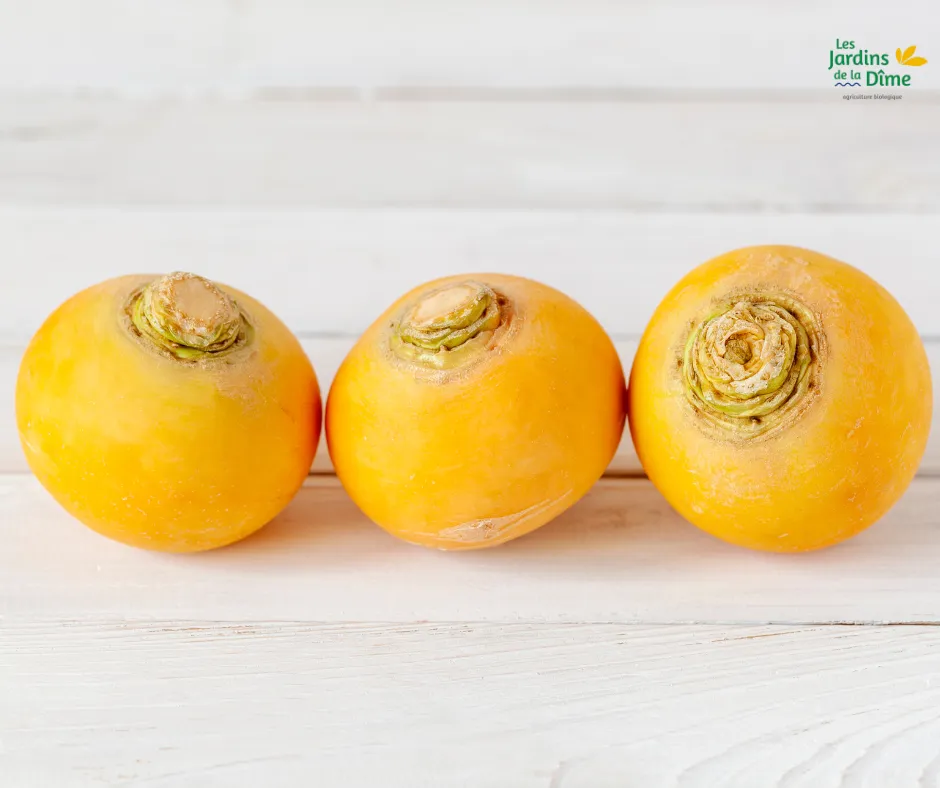 Navet jaune - 250g