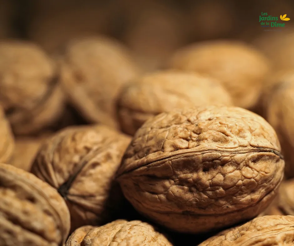 Noix de Grenoble - 250g