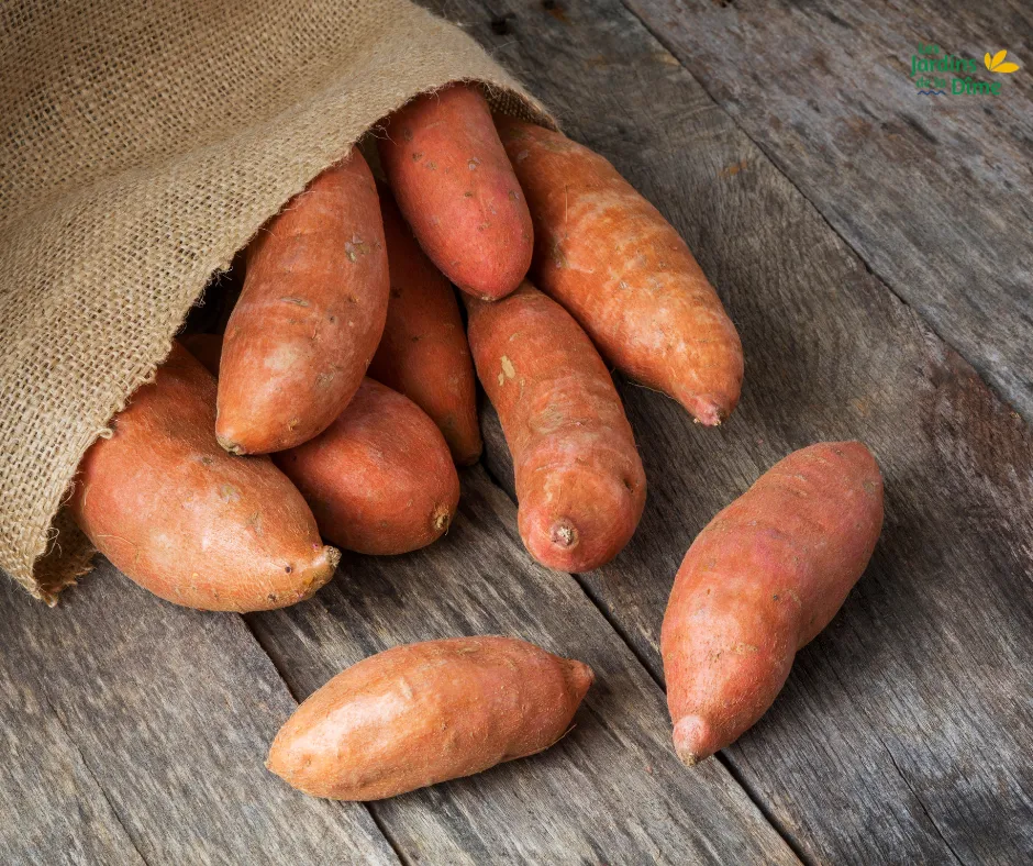Patate douce - 500g