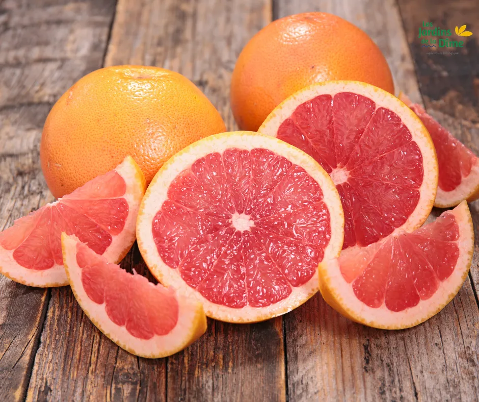 Pomelo rose - Pièce