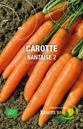 Semence - Carotte "Nantaise 2"
