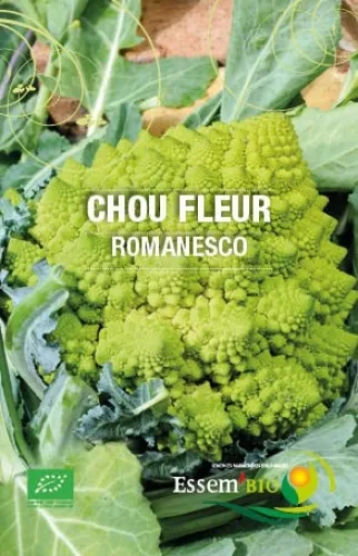 Semence - Chou romanesco