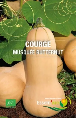 [Semencebutternut] Semence - Courge Butternut