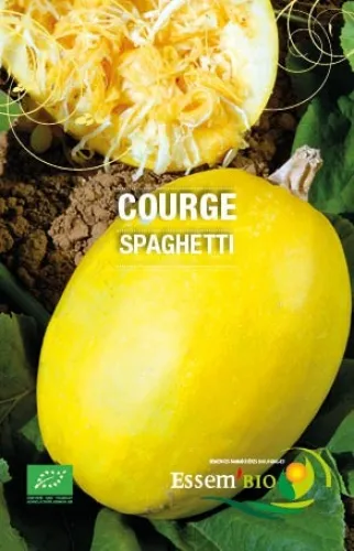 [Semencecourgespaghetti] Semence - Courge spaghetti