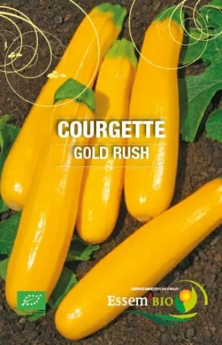 Semence - Courgette jaune