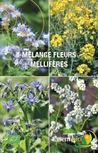 Semence - Fleurs mellifères