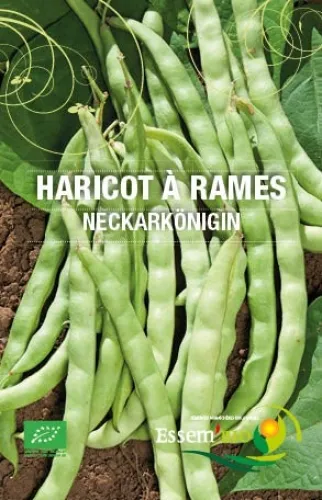 Semence - Haricot vert à rame