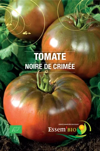 Semence - Tomate "Noire de Crimée"