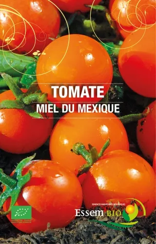 Semence - Tomate cerise rouge