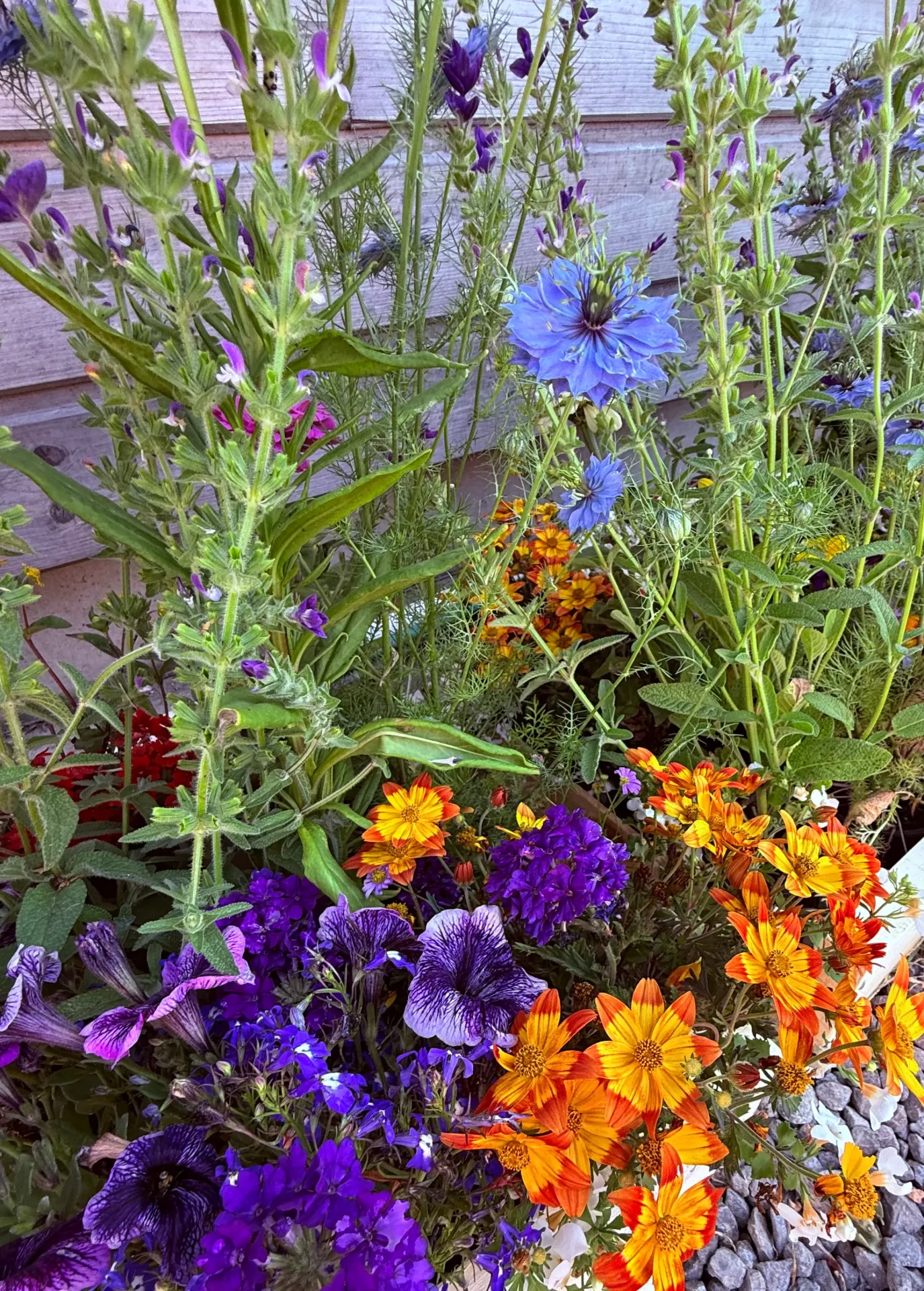 Déstockage : Mix de fleurs