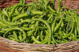 Haricot vert "princesse"