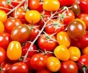 [Tomatecerisedime] Tomate cerise