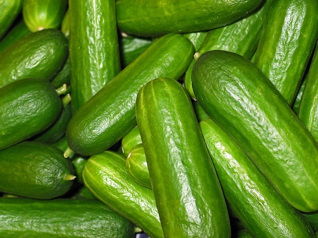 Concombre snack