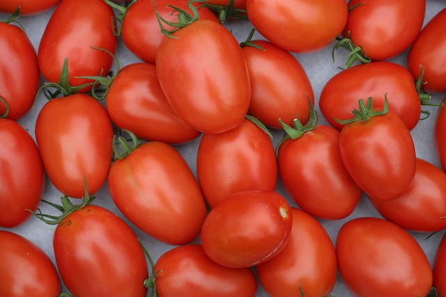 Tomate Roma
