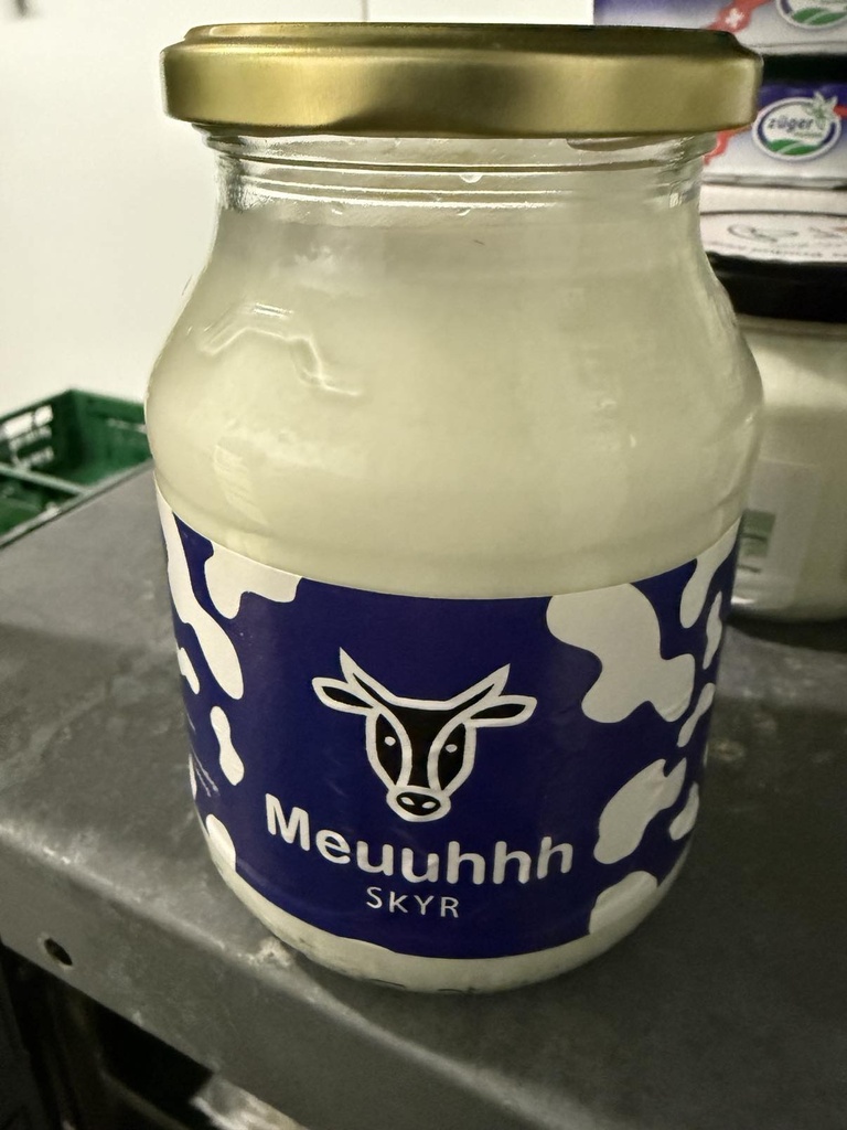Yaourt Skyr - 500g