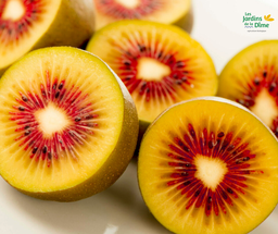 [Kiwirougegrossiste] Kiwi rouge