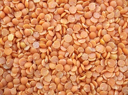 [Lentillecorailgrossiste] Lentille corail