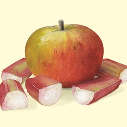 [Juspommerhubarbegrossiste] Jus de pomme/rhubarbe