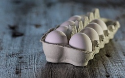 [Oeufgrossiste] Oeufs