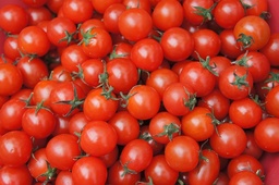 [Tomatecerisegrossiste] Tomate cerise