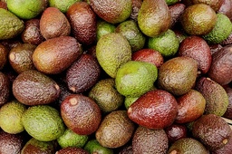 [Avocatgrossiste] Avocat Haas